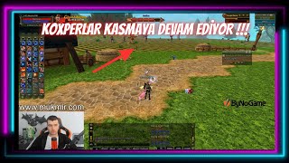 Knight Online Garuna Koxp Devam Ediyor Müdahale Lazım [upl. by Hanyaz]