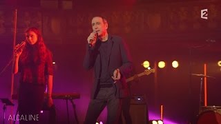 Alcaline le Mag  Alain Chamfort  La Fièvre dans le Sang en live [upl. by Delcine]