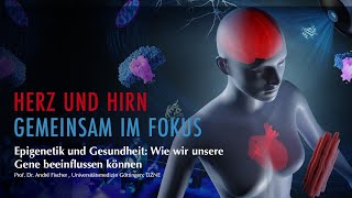 Epigenetik und Gesundheit Wie wir unsere Gene beeinflussen können  Prof Dr André Fischer [upl. by Akihdar249]