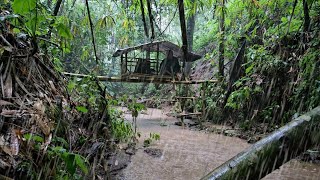 Berkemah diatas aliran sungai saat hujan deras menginap dirumah diatas air [upl. by Arol]