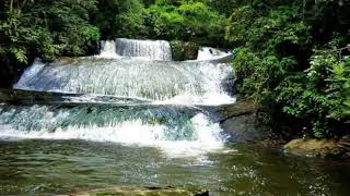 Central Suriname Nature Reserve 14 Top Experiences in South America [upl. by Seibold]