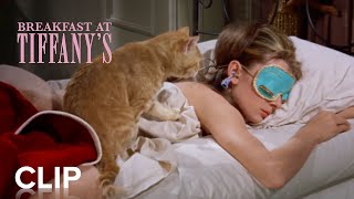 Breakfast at Tiffanys Theatre Trailer [upl. by Ahtnahc]