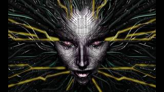 System Shock 2 OST Command 2 [upl. by Esenej]