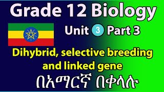 Grade 12 Biology Unit 3 part3 dihybrid inheritance selective breeding and linked gene [upl. by Ratna900]