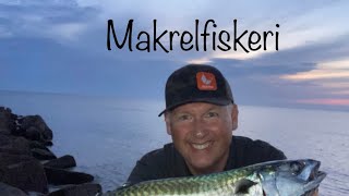 Makrelfiskeri Tips amp Tricks [upl. by Annodam]