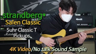 Strandberg Salen Classic 4K Video 스트랜드버그 살렌 클래식 소리함 [upl. by Griswold290]