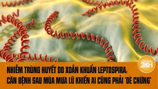 5 người nhiễm trùng huyết do xoắn khuẩn Leptospira Căn bệnh sau mưa lũ khiến ai cũng phải quotdè chừng [upl. by Nawek]