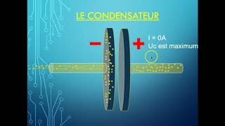 Charge  décharge dun condensateur 🎯 EXO Bac  Terminale spé  Physique [upl. by Willyt]