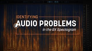 Identifying Audio Problems in the RX Spectrogram [upl. by Llehsem]