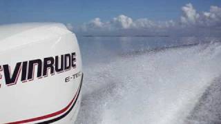 Evinrude Etec 115 [upl. by Ohaus501]