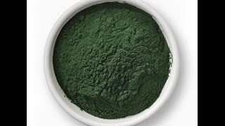 How to set up a Chlorella Vulgaris Culture simple no tech [upl. by Lorita]