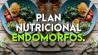 Como crear un PLAN DE NUTRICIÓN para ENDOMORFOS  Gana masa muscular o reduce tu porcentaje graso [upl. by Griffith]