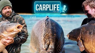 Carplife Podcast 45 Angel Burnout [upl. by Valaree]