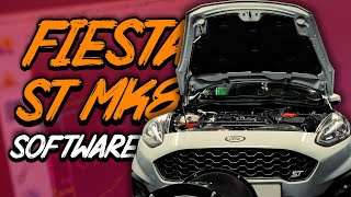 Ford Fiesta ST MK8 Software I Vlog 37 [upl. by Dyer]