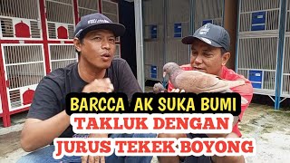 begini jadinya kalau NSF MUTIARA sudah mengeluarkan JURUS TEKEK BOYONG [upl. by Irrol792]