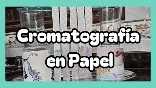 Cromatografía en Papel [upl. by Emmaline976]