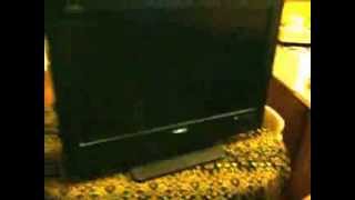 Problem Sanyo TV Screen Not Working [upl. by Villada]