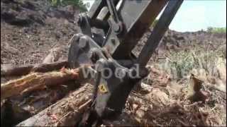 Wood Shear in Action [upl. by Dogs]