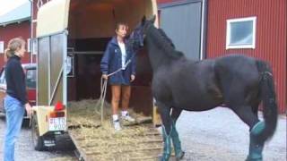 0126 Hester med Problemer  Intro 11m4v [upl. by Slater]