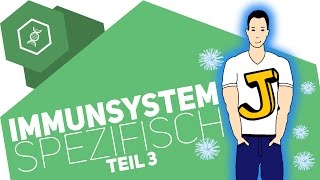 Spezifische Immunabwehr 3  Immunsystem [upl. by Neesay]