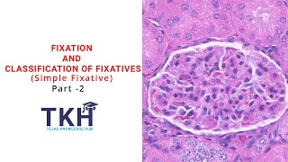 Fixation and Classification of Fixatives Part 2  Simple Fixative  Histopathology  DMLT [upl. by Norvan]