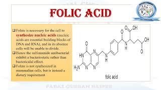 Mechanism of Action of Sulfonamides Trimethoprim Folic Acid PABA  DHF THF  Medicinal Chemistry [upl. by Adnanref729]