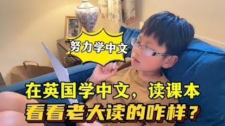 全家英国生活，必须让娃学好中文！蕙玲：不管在哪里，中文不能丢 [upl. by Also]