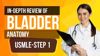 USMLE Step 1 InDepth Review of Bladder Anatomy [upl. by Cavill]