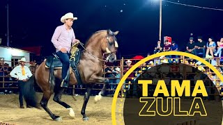 🏆CONCURSO DE CABALLOS BAILADORES EN TAMAZULA DURANGO [upl. by Caughey19]