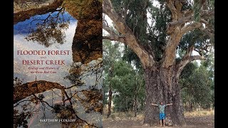 The River Red Gum more than just a Tree [upl. by Yeliw]