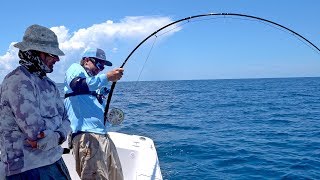 Attempting the Impossible Goliath Grouper on Fly Fishing Tackle [upl. by Leakim671]