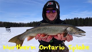 Northern Ontario Splake Fishing [upl. by Peery]