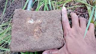 Yamashita treasure hunting box type na bato nahukay at nag simbulo Ng box tugma sa 3d scanning [upl. by Evol]