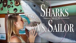 Sharks vs Sailors  SMLS S6E20 [upl. by Airbmat]