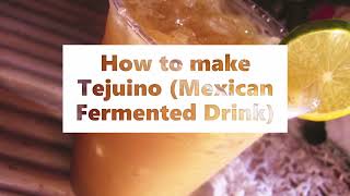 How to make Tejuino Mexican Fermented Drink [upl. by Mientao]