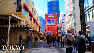 Tokyo Akihabara is biggest electric town in Japan 【東京秋葉原】 explorejapan japan 4k [upl. by Sifan20]