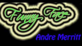 Funny Face  Andre Merritt w Lyrics [upl. by Heffron485]