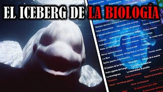 EL ICEBERG DE LA BIOLOGÍA 🔬​ [upl. by Donahoe]