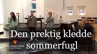 Den prektig kledde sommerfugl [upl. by Laitselec757]