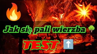 Jak się pali wierzba❓✅ Testujemy❗ Ile popiołu z węgla orzech Marcel❓ [upl. by Allina]