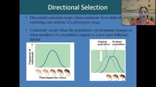 Stabilizing directional and disruptive selection [upl. by Andros]