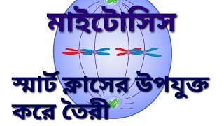 মাইটোসিস বিভাজনMitosis division in BengaliKaryokinesis ampCytokinesisProphaseMetaphasesmart class [upl. by Summons182]