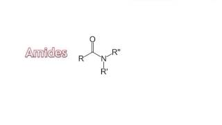 07  Amines amp Amides [upl. by Edmondo]