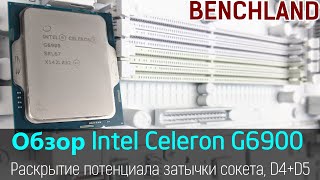 Сокетная Затычка Освобожденная  Intel Celeron G6900 Обзор тест разгон до 54 ГГц DDR4 и DDR5 [upl. by Aligna]