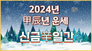 2024갑진년 운세 신금일간 [upl. by Ahsam]