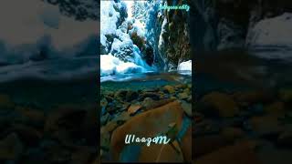 Nadu kaatil thanimai song whatsapp status [upl. by Millwater888]