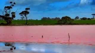 Natural wonders  Lake Hillier Australia [upl. by Appleby]