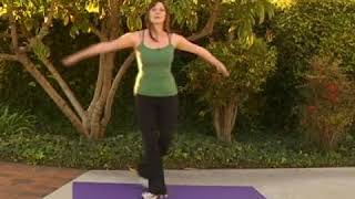 How to Do Grapevine Aerobic Exercises [upl. by Agripina]