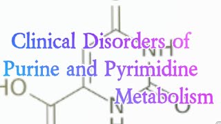 Clinical Disorders of Purine and Pyrimidine Metabolism Biochemistry [upl. by Neelyak]