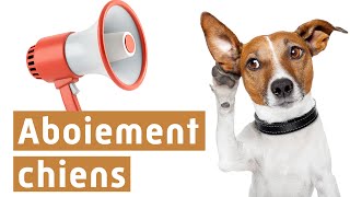 Aboiement chiens [upl. by Frissell]